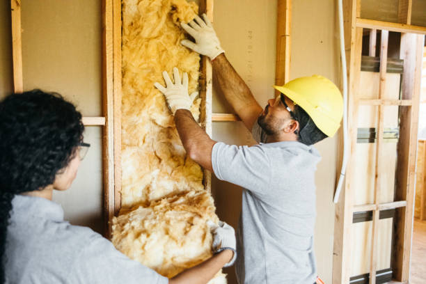 Best Garage Insulation  in Smithfield, VA